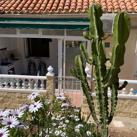 La Siesta Lägenhet Benidorm Exteriör bild